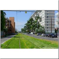 2021-07-19 -T9- Les Saules 03.jpg